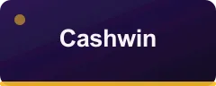Cashwin logosu