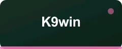 K9win logosu